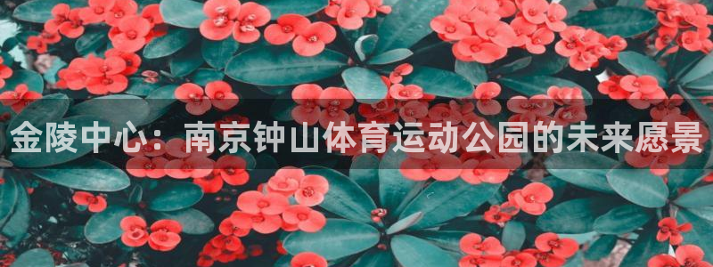 凯发官方正版app集团官网首页网址:金陵中心:南京钟山体育运