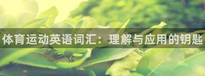 凯发官方正版app集团logo:体育运动英语词汇:理解与应用